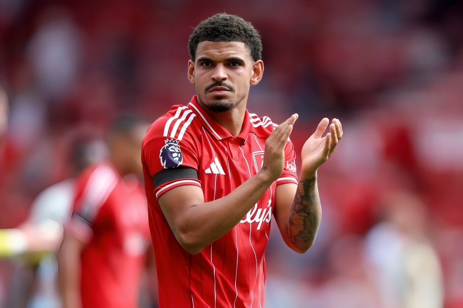 Premier League Awards