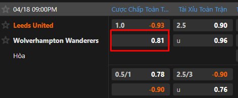 Leeds United vs Wolverhampton