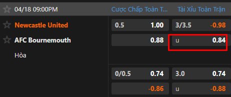 Newcastle United vs AFC Bournemouth